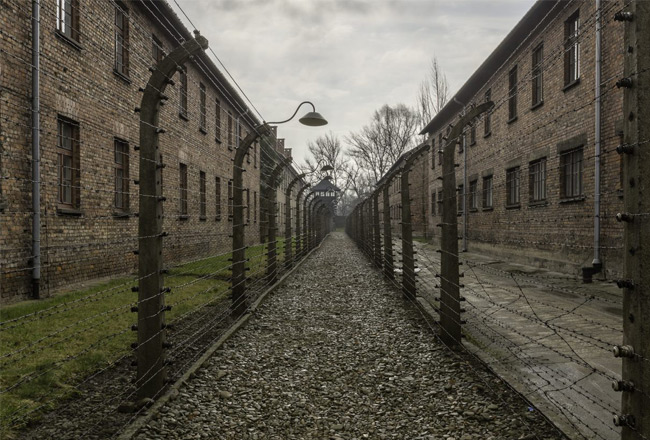 internationa-documentary-film-mobile