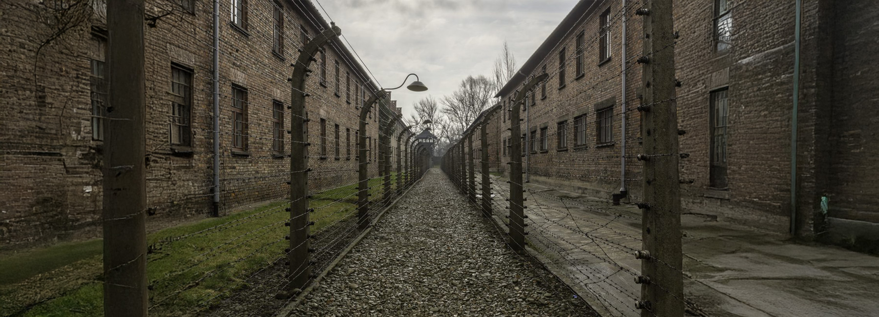 internationa-documentary-film